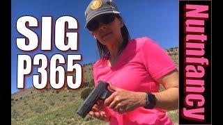 Concealed Pistol New Standard: Sig P365 [Full Review]