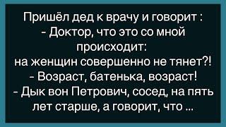 Как У Мужика В Отеле Были Клопы !Сборник Смешных Анекдотов! Юмор! Настроение!