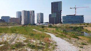 Morning Walk in Almere Duin  | Flevoland | The Netherlands 4K⁶⁰