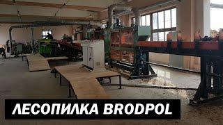 Линия лесопиления (SAWMILL LINE BRODPOL)