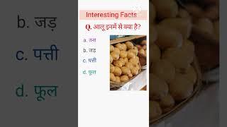 # potato। आलू क्या है। what is potato। gk। quiz।daily quiz।