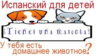 Испанский язык для детей.Домашние животные на испанском. У тебя есть домашний питомец?