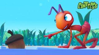 Little Ants on Thin Ice | 1 Hour of Antiks | Funny Adventure Cartoons for Kids | Be Brave!