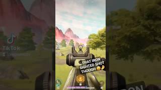 The Iron Sights in Farlight 84 