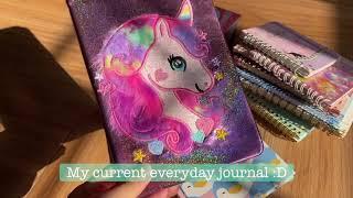 My entire journal/ diary collection. (1st grade onwards)