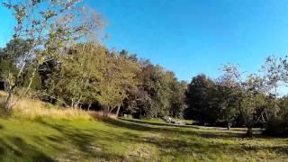 Steady Throttle // Blackout Mini-H ripping