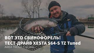 ВОТ ЭТО СВИНОФОРЕЛЬ️ПРЕТ КАК ТАНК Тест-драйв XESTA Black Star S64-S TZ Tuned