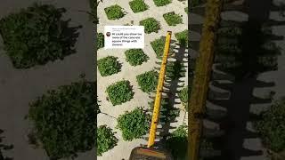 Turfstone Pavers in our #CloverLawn ️ #clover #landscape #pavers #backyard #renovation