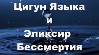 Открытый Мастер Класс.  Цигун Языка и Эликсир Бессмертия | Сонг Парк | Академия Киайдо