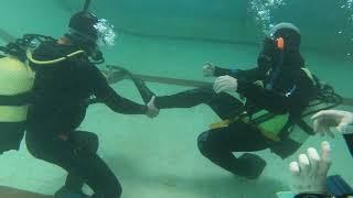 Занятие на курсе PADI Open Water Diver