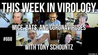 TWiV 668: Mice, bats, and coronaviruses with Tony Schountz