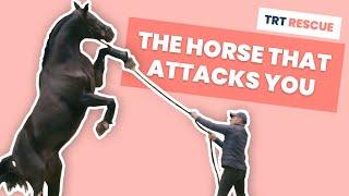 The Horse That Attacks You - TRT Rescue S01E01