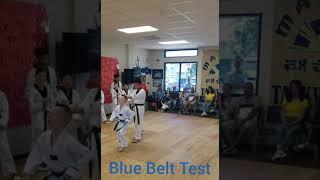 Tyler James Taekwondo Kid 75