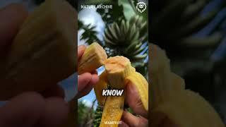 The shocking reproductive behavior of bananas...