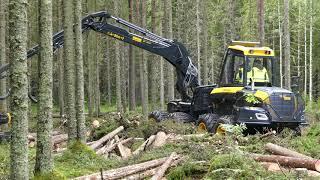 Ponsse Cobra harvester: first logging demo