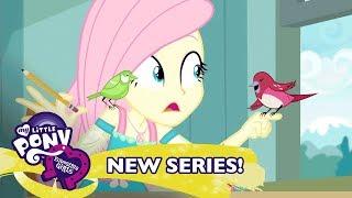 MLP: Equestria Girls Temporada 1 Brasil - 'Um Passarinho Me Contou'  Short Exclusivo