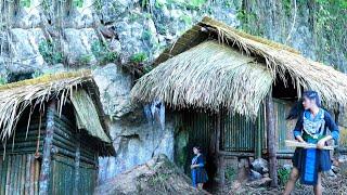 Building primitive bamboo hut for survival jungle life