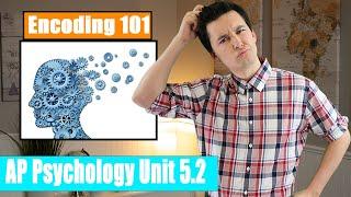 Memory & The Encoding Process  [AP Psychology Unit 5 Topic 2] (5.2)