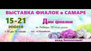 ВЫСТАВКА ФИАЛОК,16.06.20.Самарский Дом фиалки,ул.Победы,121 А.