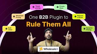 One B2B Plugin to Rule Them All