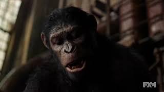 Koba vs Caesar   Fight Scene   Dawn of the Planet of the Apes 2014   YouTube