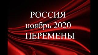 ТАРО Россия ноябрь 2020