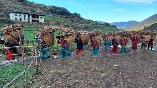 The Determined Lifestyle of Hardworking Nepali Mountain Villagers || IamSuman