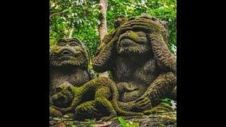 monkey statue forest escape video walkthrough