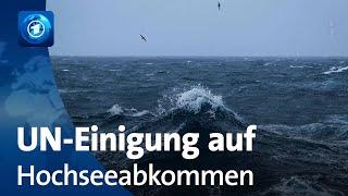 Historisches Abkommen: UN einigen sich auf Schutz der Meere