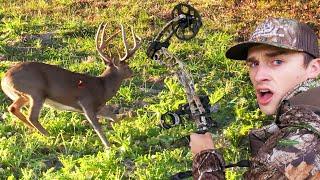 Big Buck Down! (Archery Deer Hunting)