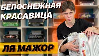 ТЕБЕ ТОЧНО НУЖНА ТАКАЯ ГАРМОНЬ /// Куликово Поле Ля мажор