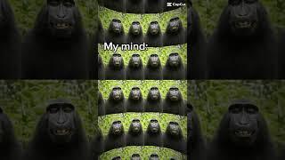 #funny #premiumnoodles