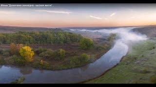 Фільм "Донеччина заповідна - насіння життя"