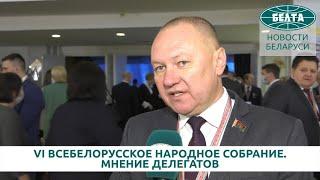 Делегат ВНС Андрей Струневский: нужно использовать те возможности, которые у нас есть