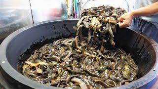 생미꾸라지 갈아서 엄청난 양을 끓이는 역대급 미꾸라지 추어탕, 미꾸라지 튀김 Blood Mud Fish Soup, korean street food