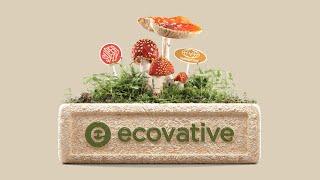 Ecovative Brand Film