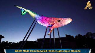 Whale Made from Recycled Plastic Lights Up in Ukraine