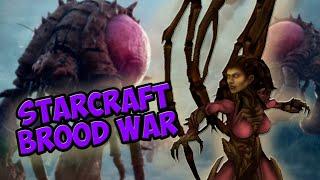 StarCraft: Brood War. Зерги. 12 ноябрь 2024