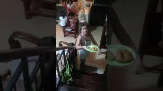 Sierra Harris Family Food Trip