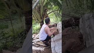 Buko ikaw nlng kulang sa fruit salad ko! #shorts #shortvideo #hand #pinas #buko #vacation #viral