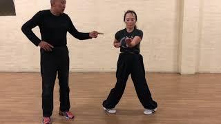 Wing Chun Sil Lum Tao (First section)