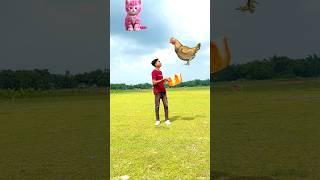 Flying domestic animals catching vs crying babies vs fat dog & lizard - Funny vfx magic