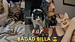 K.G.F || Bagad Billa  part 2