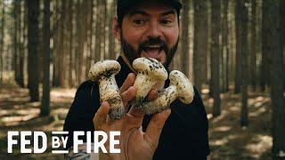 MATSUTAKE MUSHROOMS | Foraging Tips