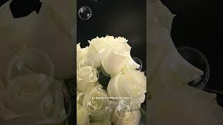«– Ну как ты?.. – Всё так же. Но я здесь.» #4k