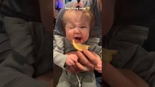 Baby trying to eat lemon for the first time 