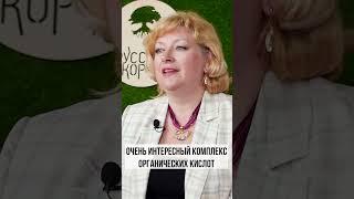 Чем полезны плоды шиповника?