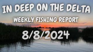 The In Deep On The Delta Weekly Fishing Report For 8/8/2024.