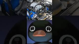 Noot Noot Shelby  #shorts#trending#tiktok#tiktokvideo#instagram#car#respect#amazing#nootnoot#viral