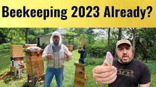 August Splits using an Apimaye 7 Frame Hive & Planning for Beekeeping in 2023 ! !